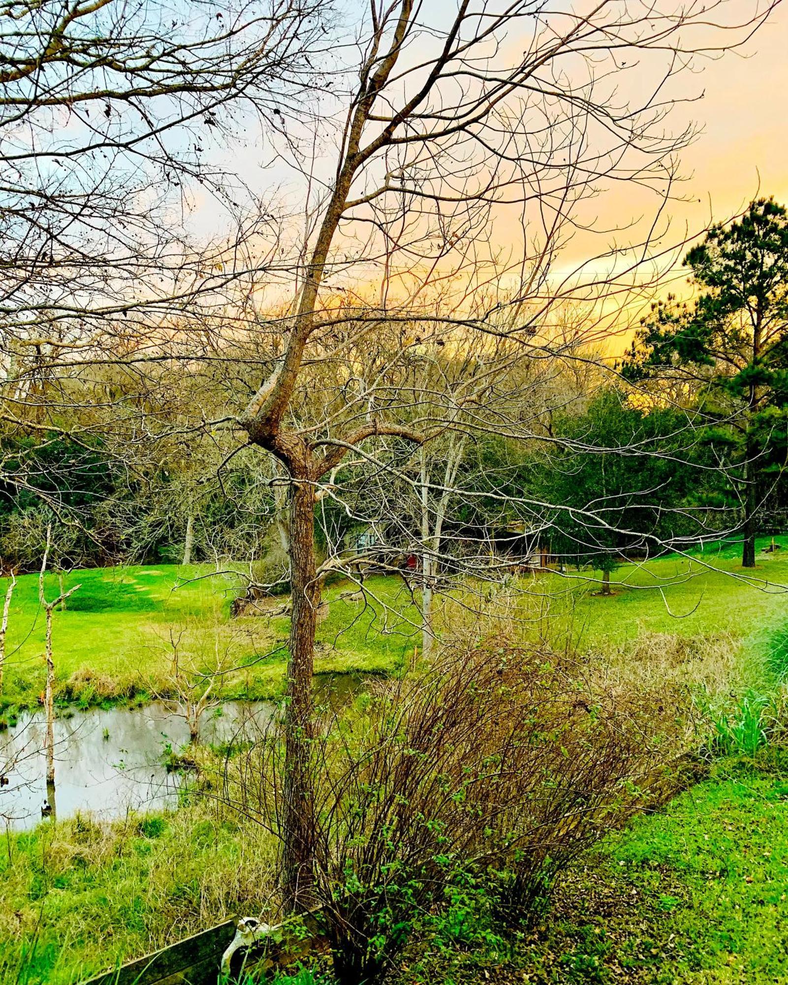 Circa 1900 - Historic - Romantic - Private - Pond - Fenced Yard - The Cottage At Chappell Hill ภายนอก รูปภาพ